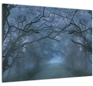 Tablou pe sticlă - Pădurea în ceață (70x50 cm)