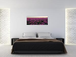 Tablou - Pajiștea cu lalele violet (120x50 cm)
