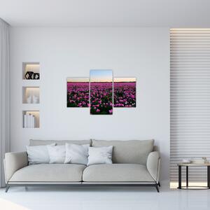 Tablou - Pajiștea cu lalele violet (90x60 cm)
