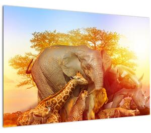 Tablou - Animale africane (90x60 cm)