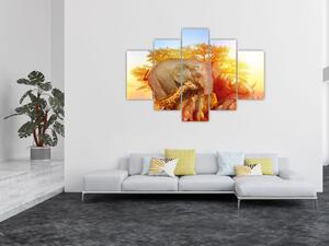 Tablou - Animale africane (150x105 cm)