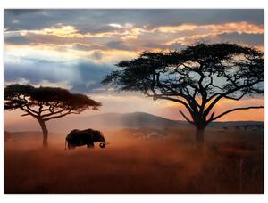 Tablou - Parcul Național Serengeti, Tanzania, Africa (70x50 cm)