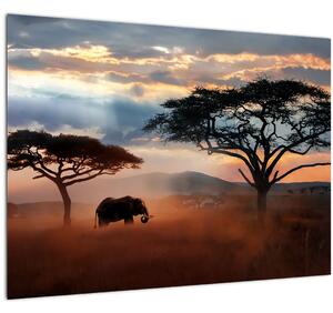 Tablou pe sticlă - Parcul Național Serengeti, Tanzania, Africa (70x50 cm)