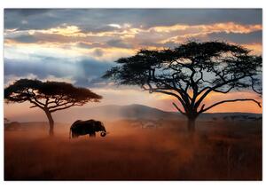 Tablou - Parcul Național Serengeti, Tanzania, Africa (90x60 cm)