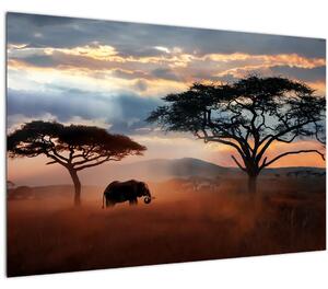 Tablou - Parcul Național Serengeti, Tanzania, Africa (90x60 cm)