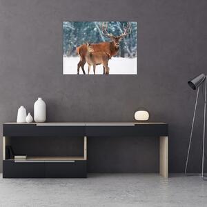 Tablou - Ceb și căprioare (70x50 cm)