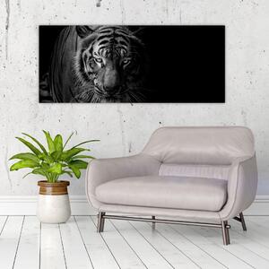 Tablou - Tigru sălbatic (120x50 cm)