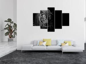 Tablou - Tigru sălbatic (150x105 cm)