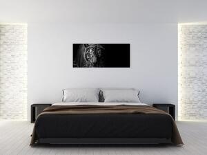 Tablou - Tigru sălbatic (120x50 cm)