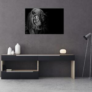 Tablou - Tigru sălbatic (90x60 cm)