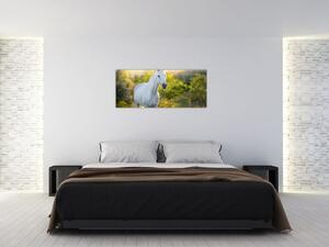 Tablou - Cal alb în poină (120x50 cm)