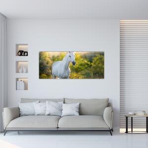 Tablou - Cal alb în poină (120x50 cm)