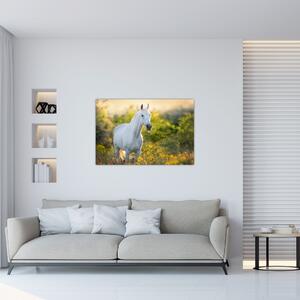 Tablou - Cal alb în poină (90x60 cm)