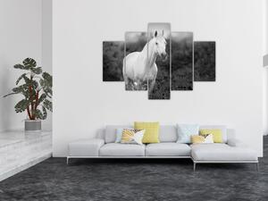 Tablou - Cal alb în poină (150x105 cm)