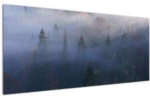 Tablou - Pădure în ceță, Carpați, Ucraina (120x50 cm)