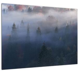 Tablou - Pădure în ceță, Carpați, Ucraina (70x50 cm)