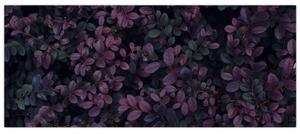 Tabou - Frunze roșu închis (120x50 cm)