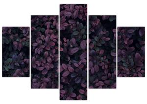 Tabou - Frunze roșu închis (150x105 cm)