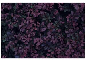 Tabou - Frunze roșu închis (90x60 cm)