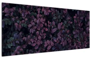 Tabou - Frunze roșu închis (120x50 cm)