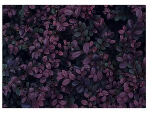 Tabou - Frunze roșu închis (70x50 cm)