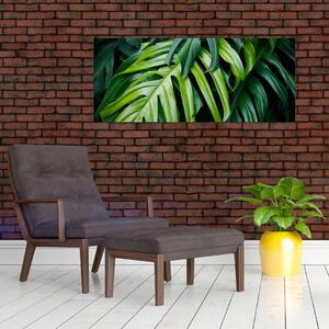 Tablou - Frunze tropicale (120x50 cm)