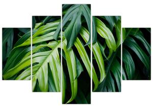 Tablou - Frunze tropicale (150x105 cm)