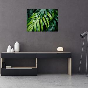 Tablou pe sticlă - Frunze tropicale (70x50 cm)