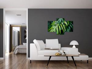 Tablou - Frunze tropicale (90x60 cm)