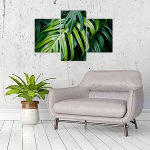 Tablou - Frunze tropicale (90x60 cm)
