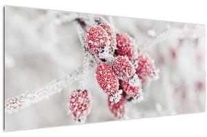 Tablou - Fructe congelate (120x50 cm)