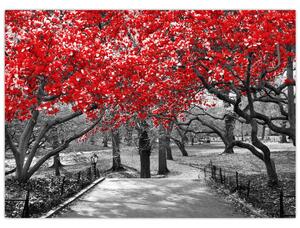 Tablou - Copaci roșii, Central Park, New York (70x50 cm)