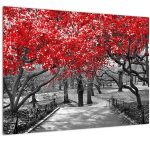 Tablou pe sticlă - Copaci roșii, Central Park, New York (70x50 cm)