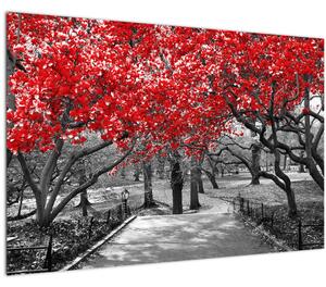 Tablou - Copaci roșii, Central Park, New York (90x60 cm)