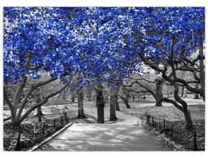 Tablou pe sticlă - Copaci albaștri Central Park, New York (70x50 cm)