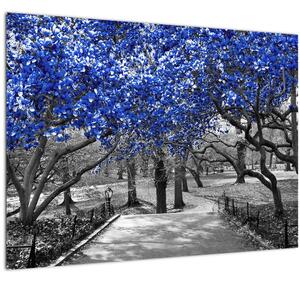 Tablou pe sticlă - Copaci albaștri Central Park, New York (70x50 cm)