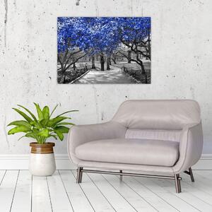 Tablou - Copaci albaștri Central Park, New York (70x50 cm)
