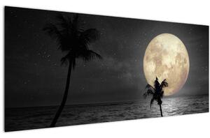 Tablou - Plaja cu lună plină, nuanțe gri (120x50 cm)