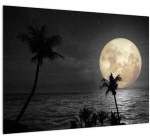 Tablou - Plaja cu lună plină, nuanțe gri (70x50 cm)