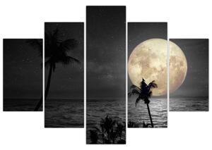 Tablou - Plaja cu lună plină, nuanțe gri (150x105 cm)
