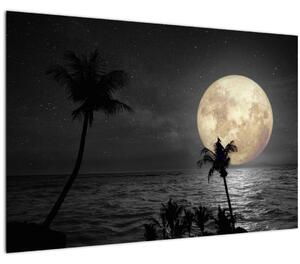 Tablou - Plaja cu lună plină, nuanțe gri (90x60 cm)