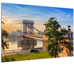 Tablou - Pod peste râu, Budapesta, Ungaria (90x60 cm)