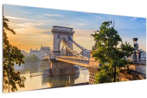 Tablou - Pod peste râu, Budapesta, Ungaria (120x50 cm)