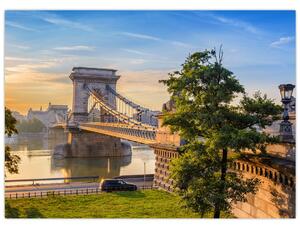 Tablou - Pod peste râu, Budapesta, Ungaria (70x50 cm)