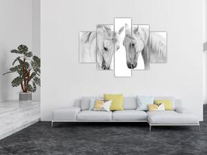 Tabou - Cai albi (150x105 cm)
