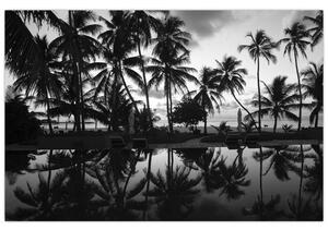 Tablou - Insula tropicală (90x60 cm)