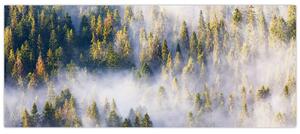 Tablou - Copac în ceață (120x50 cm)