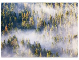 Tablou - Copac în ceață (70x50 cm)
