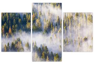 Tablou - Copac în ceață (90x60 cm)