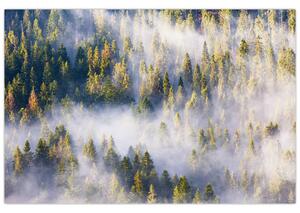 Tablou - Copac în ceață (90x60 cm)
